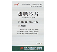 ������Ƭ