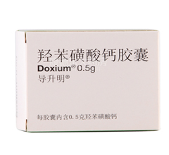 �u�������}�z��(������)