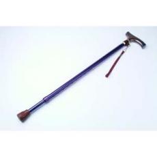 (�{(l��n)ɫб����s��)