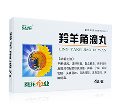 ����ǵ���