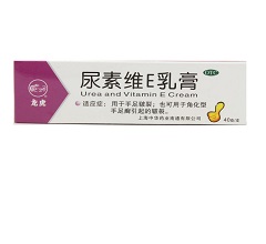 ���ؾSE���(����)